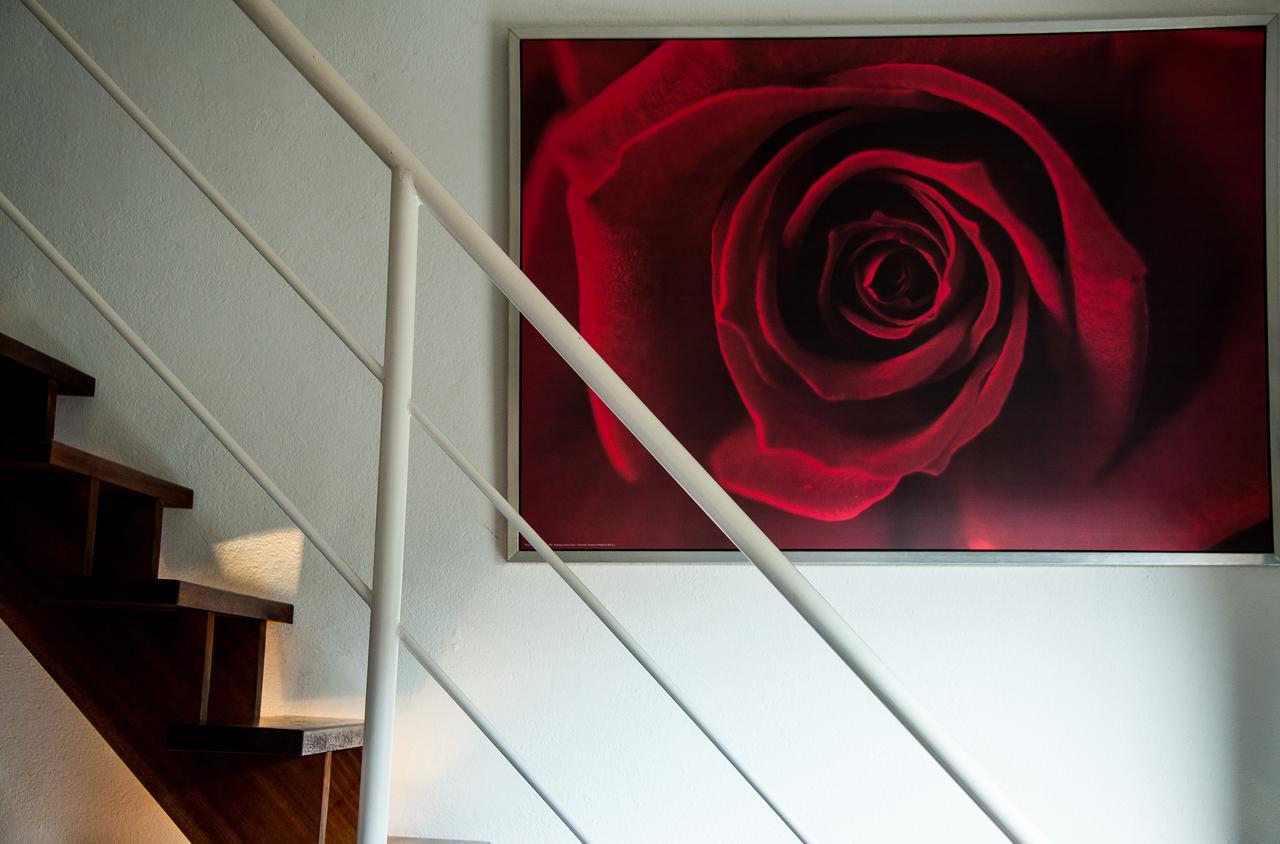 Hotel B Lodge 쎙뜨호뻬 외부 사진